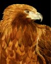 Golden Eagle 1 created 1986