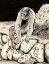 Spider Monkey created 1984