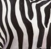 Zebra Stripes created 1993