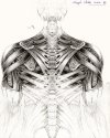 Tattoo Android Shoulders